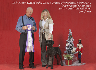 abbe lane kennels "Ozzy" Prince of Darkness