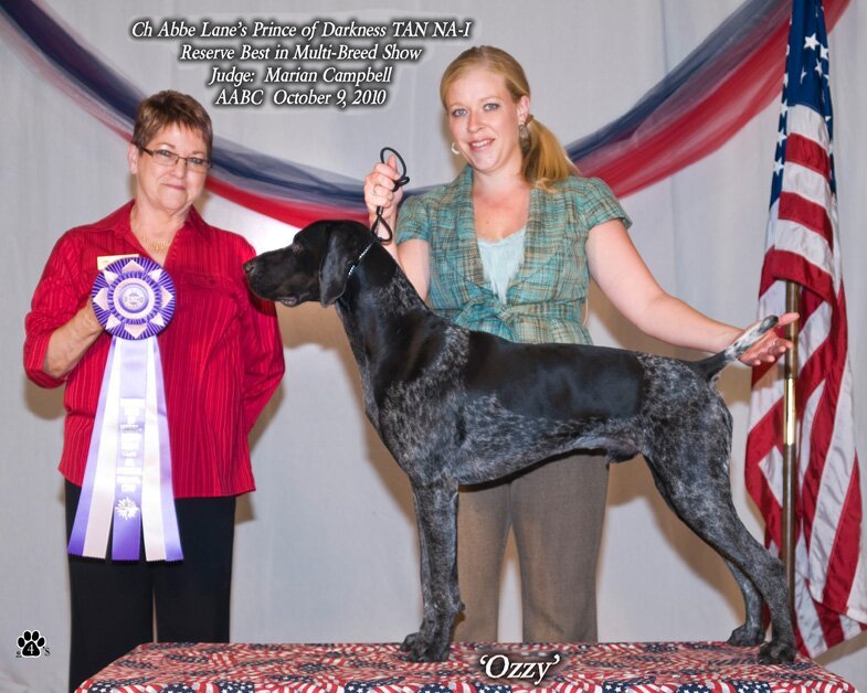 Abbe Lane Kennel's Prince of Darkness "Ozzy"